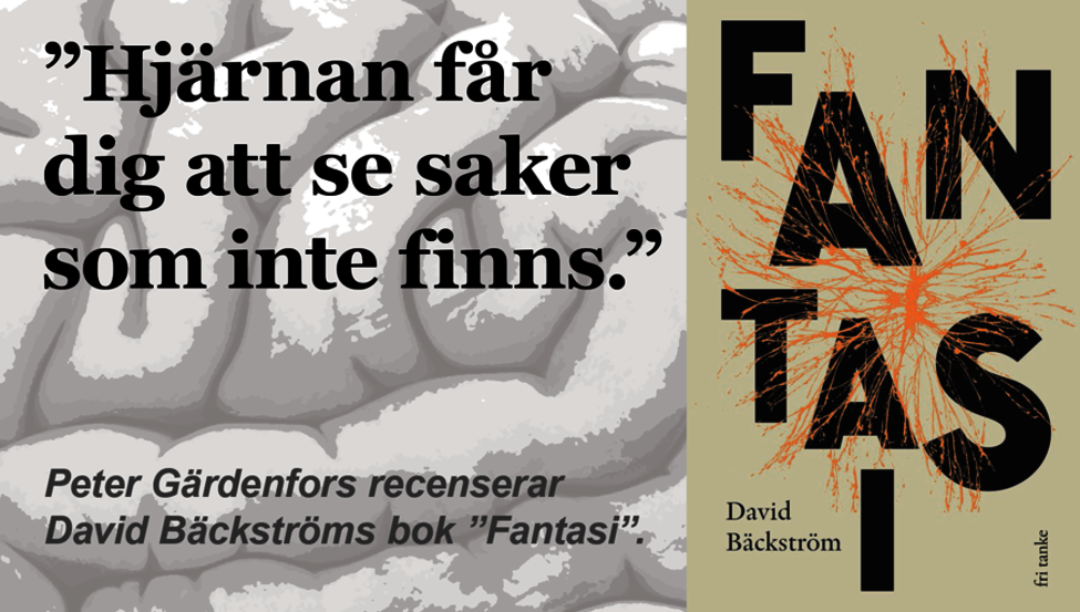 Illustration med text och omslaget till David Bäckströms bok "Fantasi".