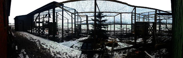 Panorama of the two connected raven aviaries.