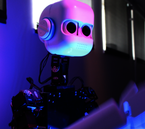 Epi – a humanoid robot