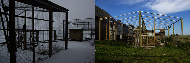 Winter and summer views of the raven aviary.
