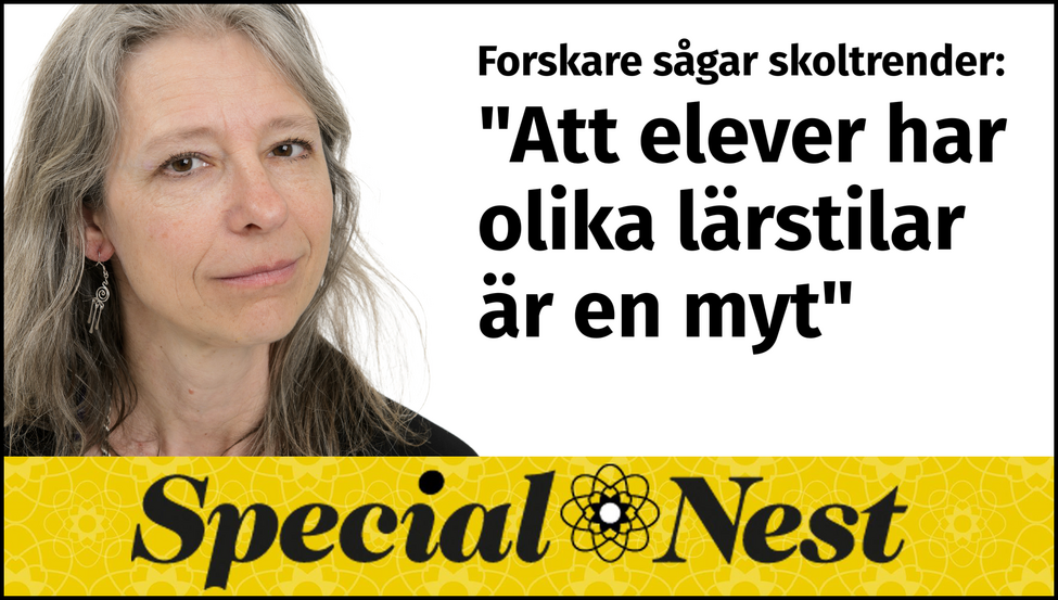 Bild med Agneta Gulz