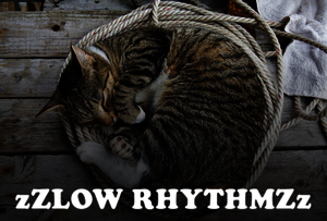 Sleeping cat - Slow rhythms
