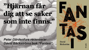 Illustration med text och omslaget till David Bäckströms bok "Fantasi".